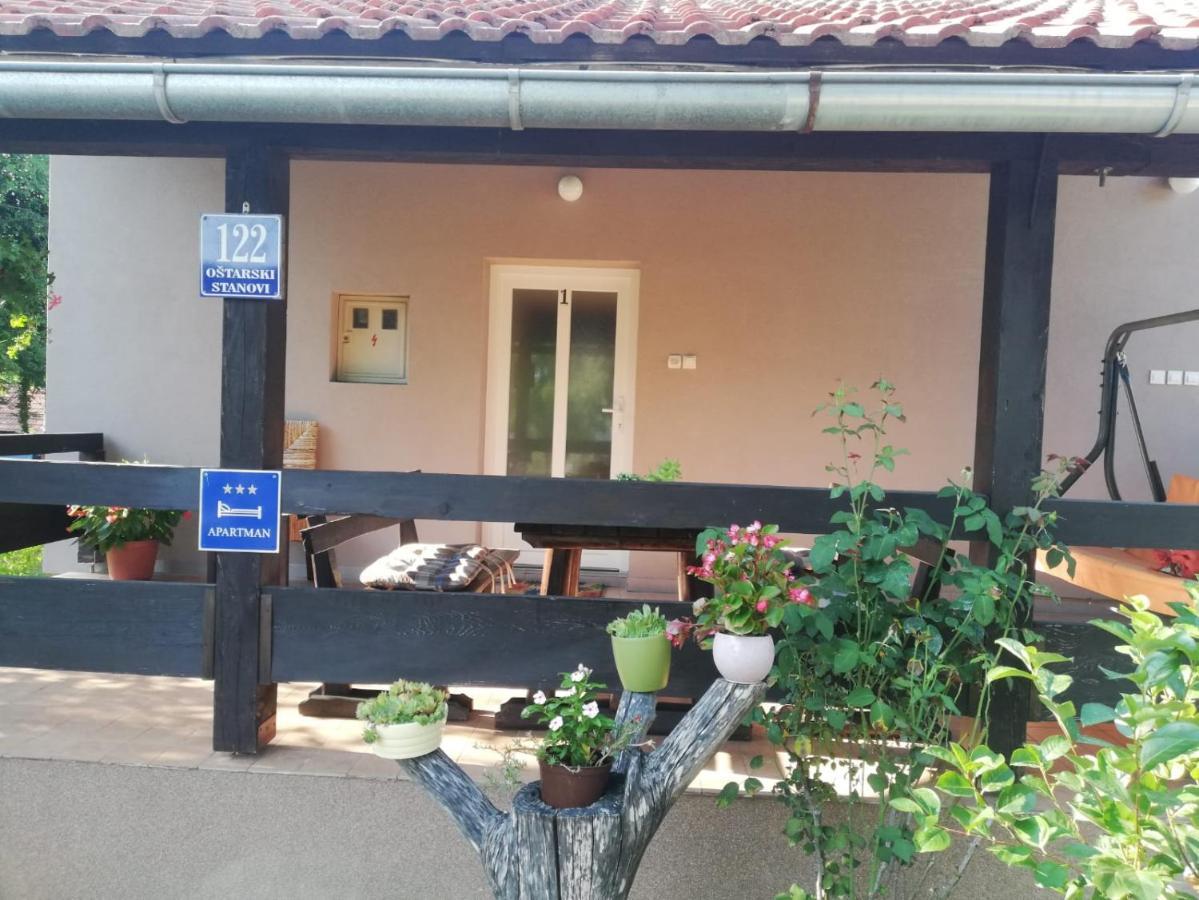 Apartman Adam Rakovica Buitenkant foto