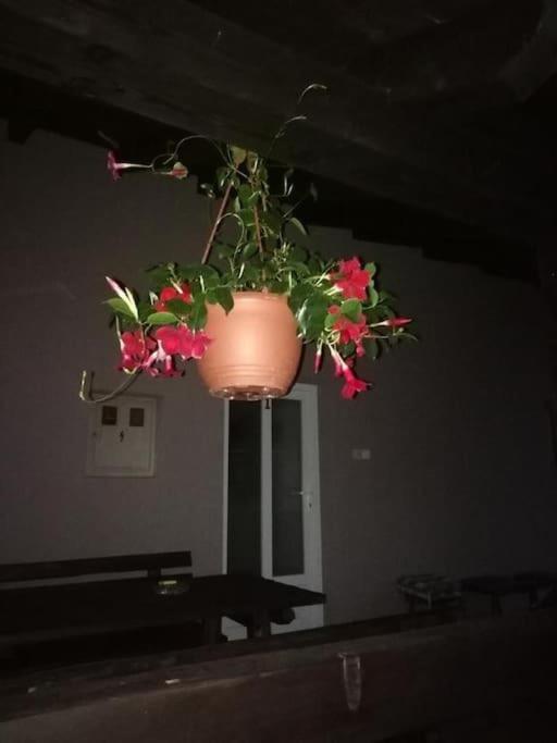 Apartman Adam Rakovica Buitenkant foto