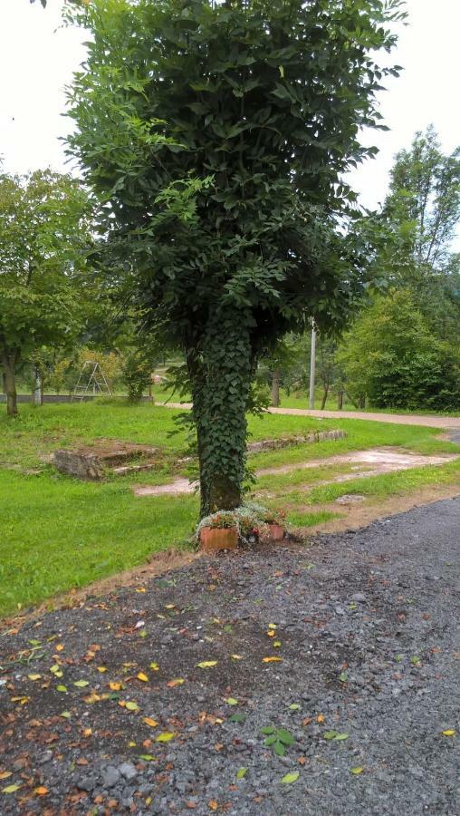 Apartman Adam Rakovica Buitenkant foto