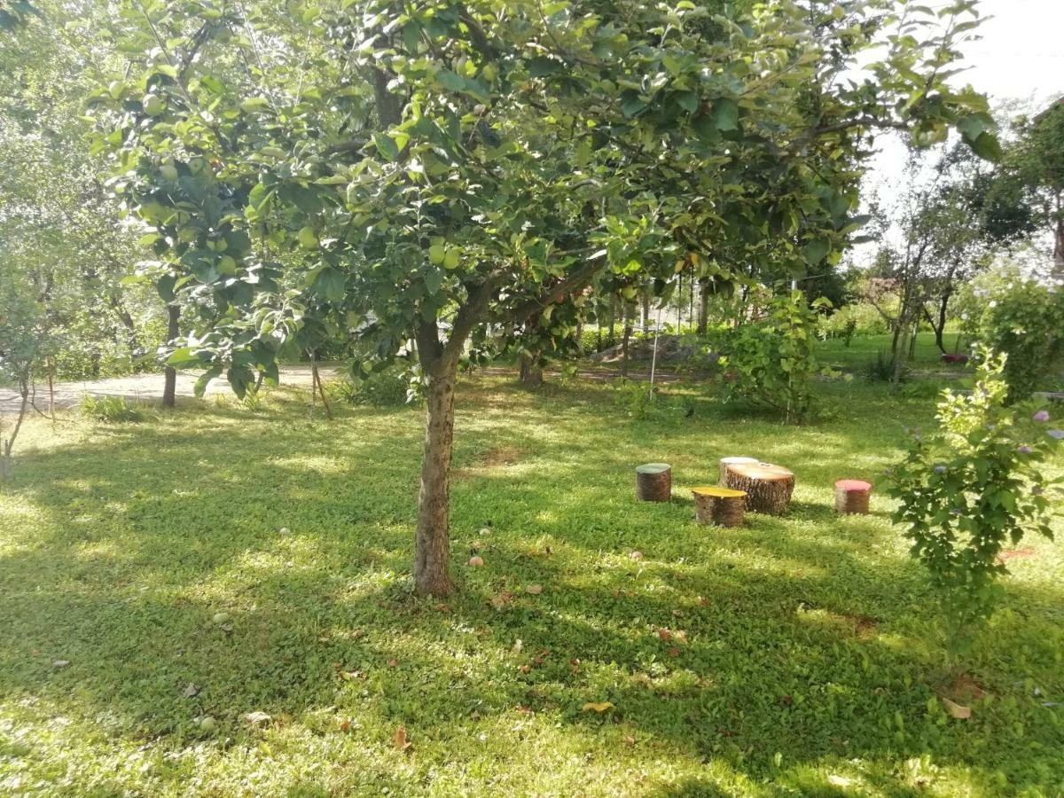 Apartman Adam Rakovica Buitenkant foto